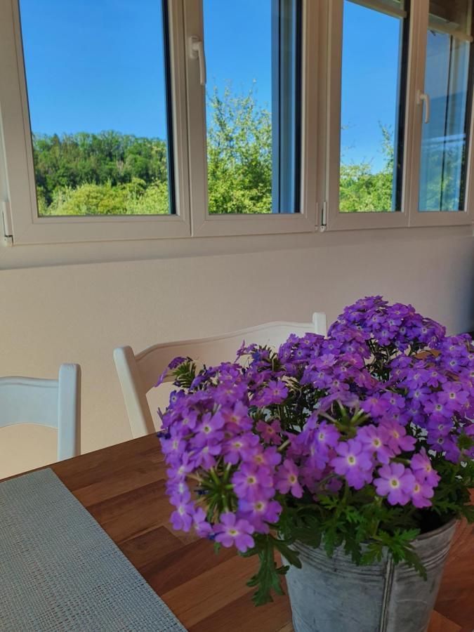 Apartment Sitter-panorama *