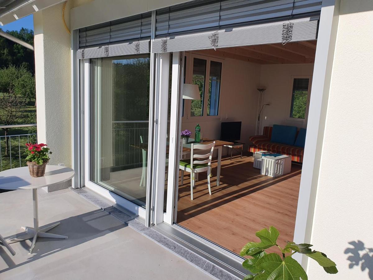 Apartment Sitter-panorama *