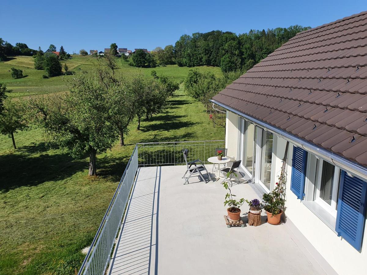 Apartment Sitter-panorama Bischofszell