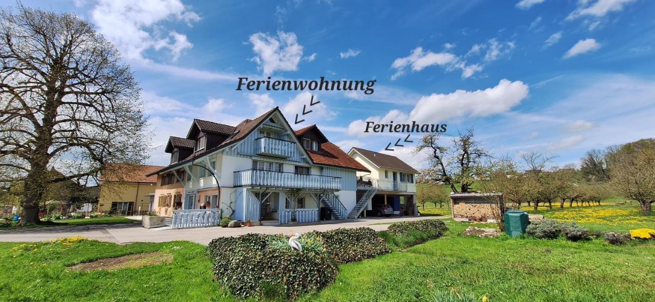 Apartment Sitter-panorama