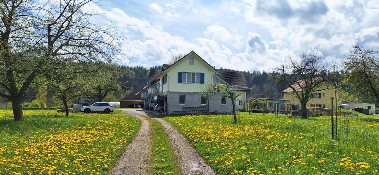 Apartment Sitter-panorama Bischofszell